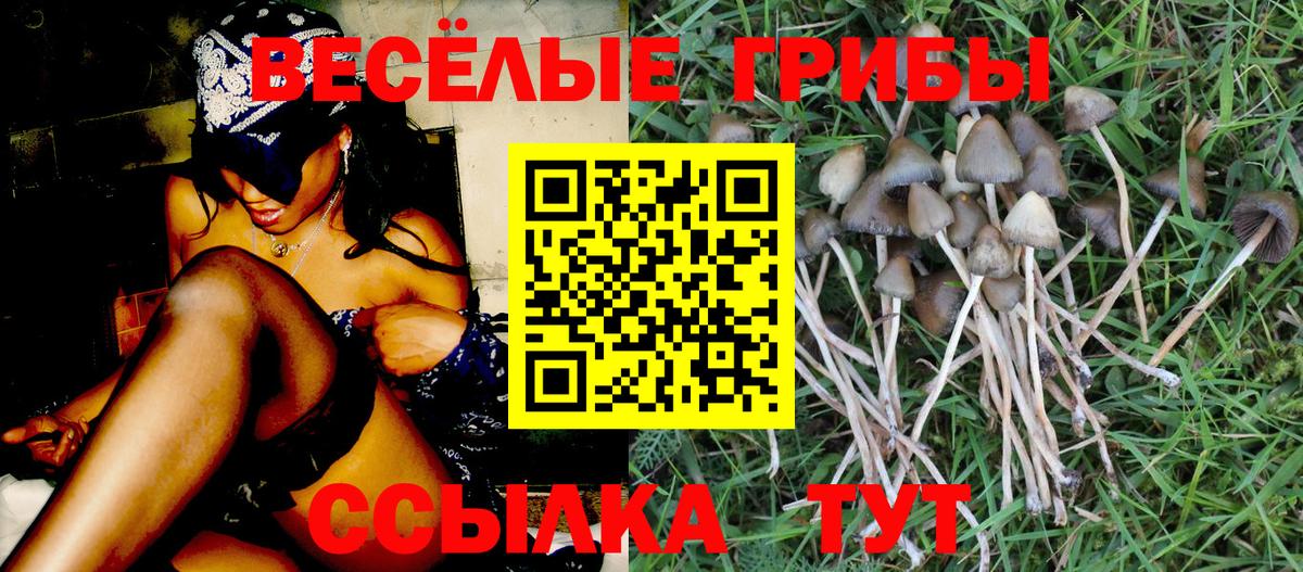 Псилоцибиновые грибы Magic Shrooms  Вход с VPN  Кстово  Галлюциногенные грибы Cubensis 